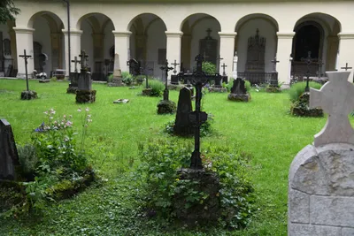 DSC_6098 (Large).JPG